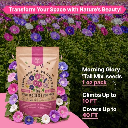 Morning Glory Tall Mix Seeds 1oz Over 800 Non-GMO Heirloom Ipomoea purpurea Seeds for Planting, Annual Flowers in Individual Packet, Planting Home Garden Indoor & Outdoor Gardening - Image 4
