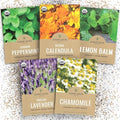 Organic Herbal Tea Seeds Variety Pack - 5 Individual Packs - 2026 Season - Mint, Lavender, Calendula, Chamomile & Lemon Balm. For Indoor & Outdoor Planting (Non-GMO, Certified Organic) by SweetYards