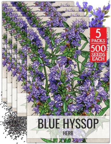 Seed Needs Blue Hyssop Seeds to Plant an Herb Garden - 5 Packs by SeedNeeds