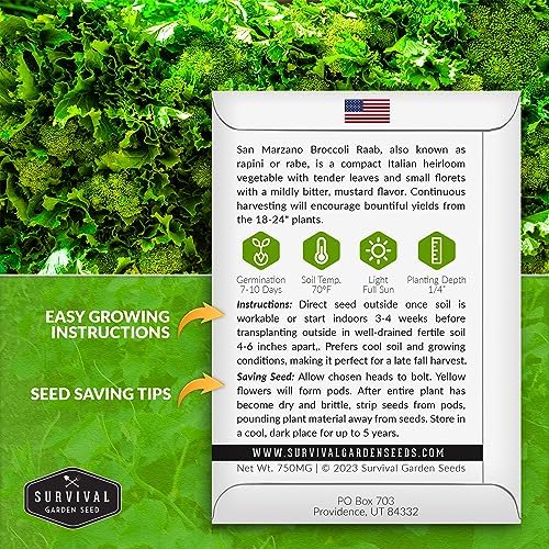 San Marzano Raab Broccoli Rabe Seeds for Planting (2 Packs) - Image 2