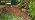 Scotts EZ Seed Patch & Repair Sun and Shade, 10 lbs. - Image 7