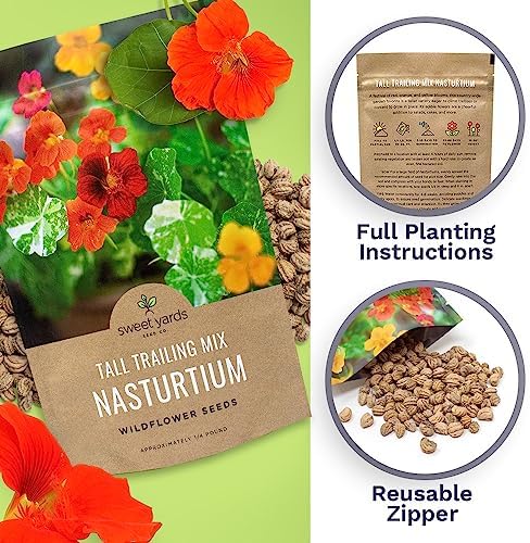 Nasturtium Seeds – Mixed Colors – Bulk Quarter Pound Bag – Over 900 Open Pollinated Non-GMO Flower Seeds – Tropaeolum majus - Image 5