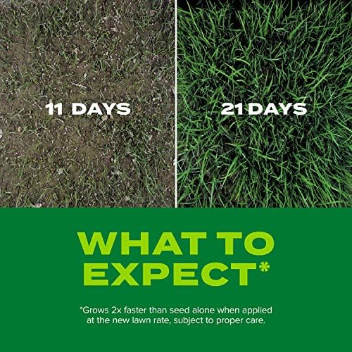 Scotts Turf Builder Rapid Grass Tall Fescue Mix - Combination Grass Seed and Fertilizer for Lawns, Lawn Seed that Grows in Just Weeks, 5.6 lbs. (Pack of 4) - Image 6