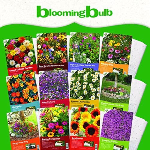 Seed Mat - Easy to Plant and Grow Garden Seeds - Creates Fragrant, Vibrant Flower Garden (Sunflower Garden) (Pack of 2) - Image 7