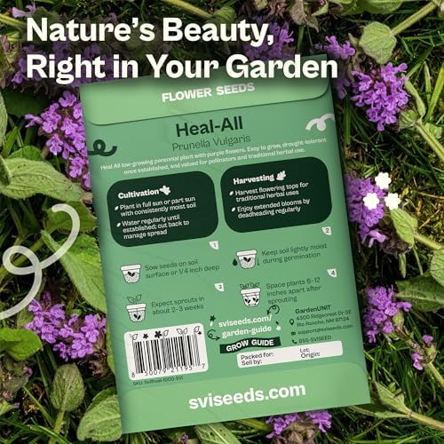 SVI 1000 Heal All Seeds (Prunella Vulgaris) - Self Heal, Medicinal Herb with Purple Blooms, Drought Tolerate, Easy Grow – Perennial Flower Seeds in Seed Packets for Outdoor Garden, Containers, Borders - Image 2