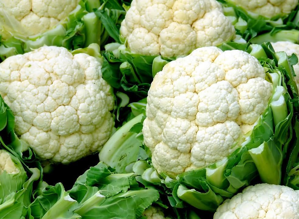 Cauliflower Live Plant, 4 to 6 Inches Tall, Ready for Garden Planting, Pack of 3 by Unknown