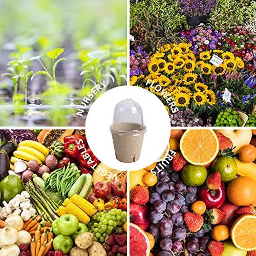 20 Packs Biodegradable Pots with Humidity Dome, 3.1" Seed Starter Peat Pots - Image 6