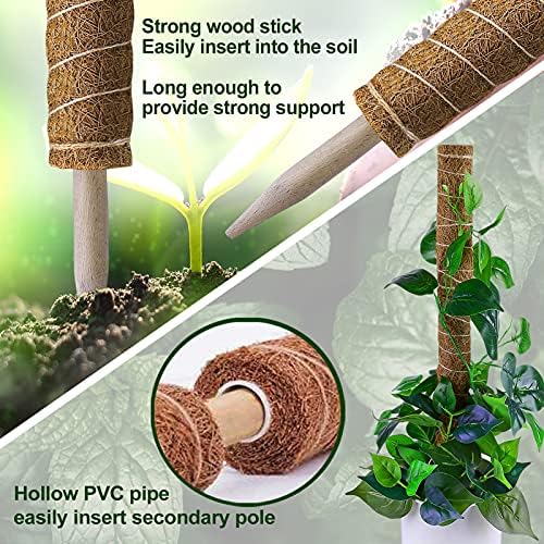 Fabulas Moss Pole 58.7 Inch - Monstera Plant Support 5 Pack, 17.5" and 12" Plant Stakes for Indoor Plants Coco Coir Moss Pole Sticks for Climbing Potted Live Plants, Pothos, Philodendron - Image 4