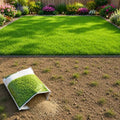 100,000 Emerald Zoysia Grass Seeds Garden, Patio Container Plant by Unknown