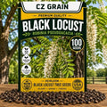 100 Black Locust Seeds | Robinia Pseudoacacia Flowering Tree Seeds by CZGrain