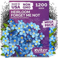 1200 Forget Me Not Heirloom Flower Seeds for Planting, Myosotis Sylvatica by KVITER