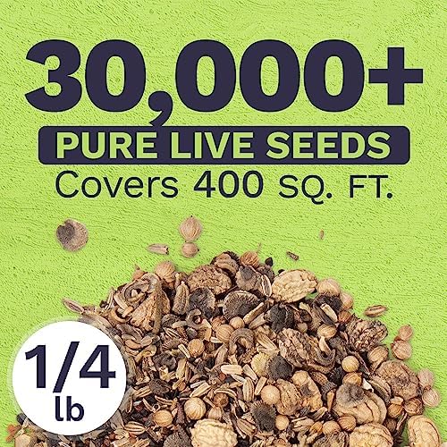 Wildflower Seeds Edible Flowers Mix - Bulk 1/4 Pound Bag Over 30,000 Open Pollinated Annual and Perennial Seeds - Image 3