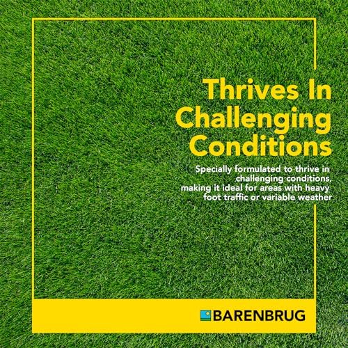 Barenbrug Wonderlawn Hardy Lawn Grass Seed for Lawns, Fast-Acting Durable Grass Seed Mix for All Weather Conditions, 3-lb. Bag - Image 6