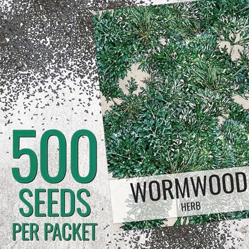Seed Needs Wormwood Seeds to Plant an Herb Garden - 1 Pack - Image 3