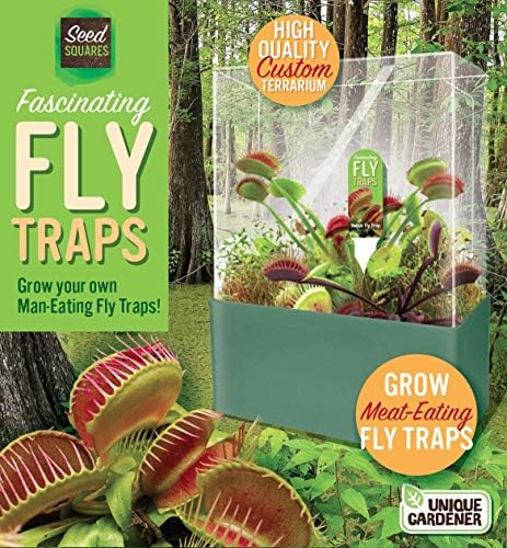 Grow Your Own Venus Fly Trap, Complete Adults Square Terrarium Starter Kit to Plant Fascinating Man Eating Fly Traps, Includes All Supplies for Indoor Flytrap Terrariums - Image 5