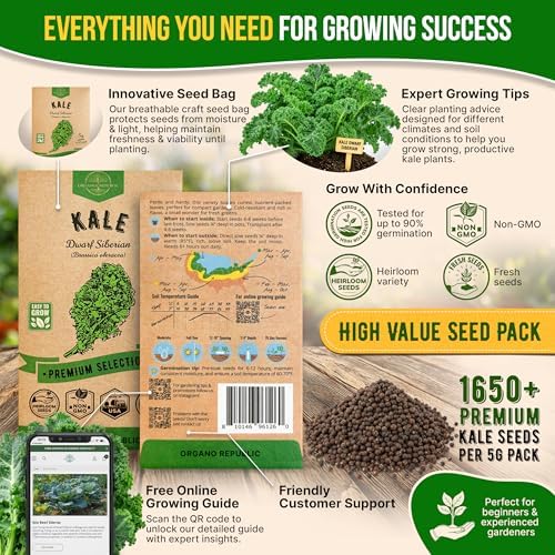 Kale Dwarf Siberian Seeds Pack 5 G - Over 1,650 Non-GMO Heirloom Kale Seeds for Planting Greens in Individual Seed Packet, Greens Seeds for Planting Home Garden Indoor & Outdoor - Image 3