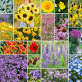 Eden Brothers The Bees Knees Pollinator Wildflower Seed Mix, 5 lb by EdenBrothers