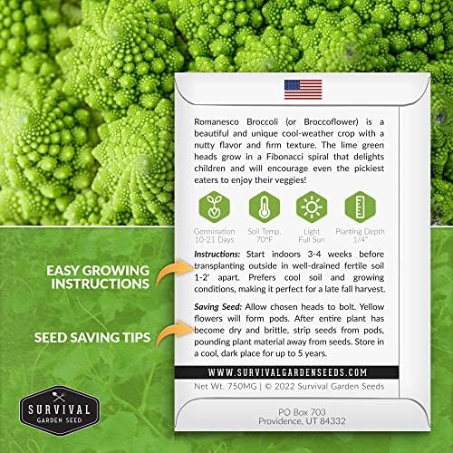 Romanesco Broccoli Seeds for Planting - Survival Garden Seeds (1 Pack) - Image 2