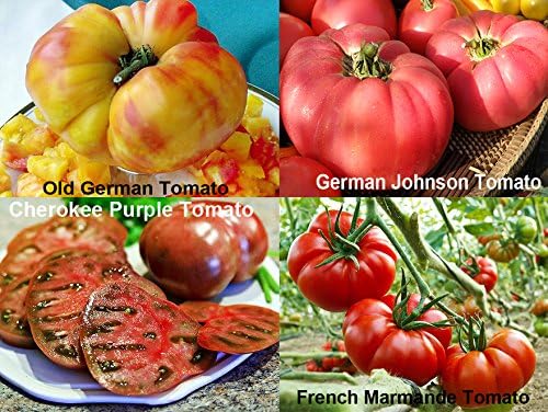 Mixed Seeds 30 Giant Tomato Seeds Mix of 19 Varieties Heirloom Non-GMO - Image 5