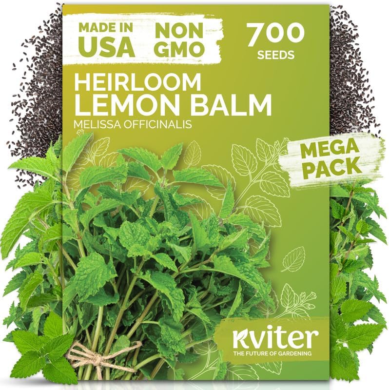 700 Lemon Balm Heirloom Herb Seeds for Planting, Melissa Officinalis by KVITER