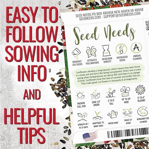 Seed Needs Red Sun Sunflower Seeds to Plant Cut Flowers - 5 Packs - Image 4