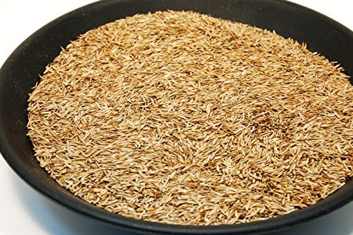Kentucky 31 K31 Tall Fescue Grass Seed by Eretz - Choose Size! State Certified, No fillers, No Weed or Other Crop Seeds (10lbs) - Image 2