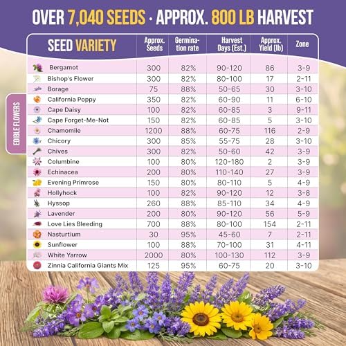 Organo Republic 20 Edible Flower Seeds Variety Pack- Indoor/Outdoor. 7000+ Non-GMO Heirloom: Borage, Bergamot, Nasturtium, Chives, Cape Daisy, Hyssop, Zinnia Seeds & More - Image 3