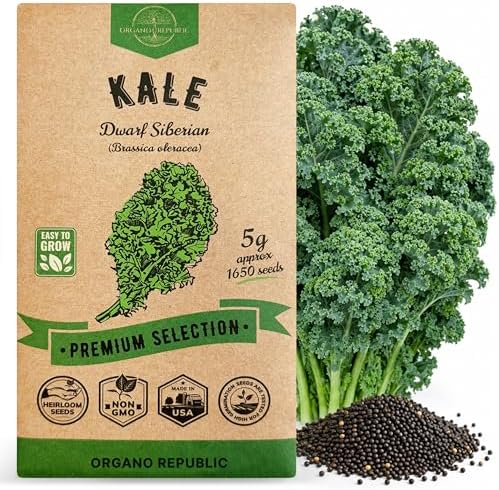 Kale Dwarf Siberian Seeds Pack 5 G - Over 1,650 Non-GMO Heirloom Kale Seeds for Planting Greens in Individual Seed Packet, Greens Seeds for Planting Home Garden Indoor & Outdoor by OrganoRepublic