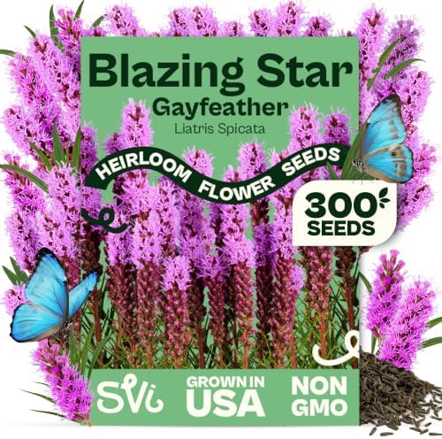 SVI 300 Marsh Blazing Star Seeds (Liatris spicata) – Heirloom Gayfeather Seed Packets – Purple Wildflower Seed, Pollinator Cut Perennial Flower Seeds Packets for Outdoor Garden Flower Garden by SVI