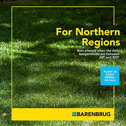 Barenbrug Wonderlawn Shady Grass Seed Mix for Lawn Care and Landscaping, 3 lbs. Bag - Image 3