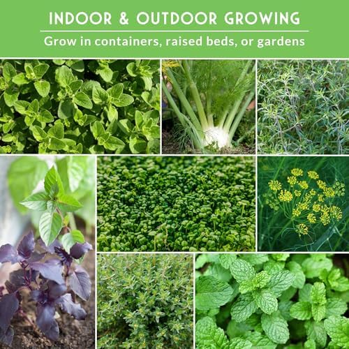 Culinary Herb Seeds 18 Variety Pack for Planting Indoors or Outdoors - Image 3