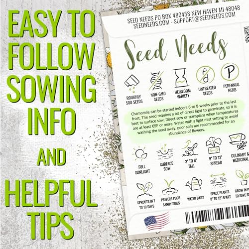 Seed Needs Chamomile Seeds Variety Pack of 2 Non-GMO & Heirloom Tea Herbs - Image 4