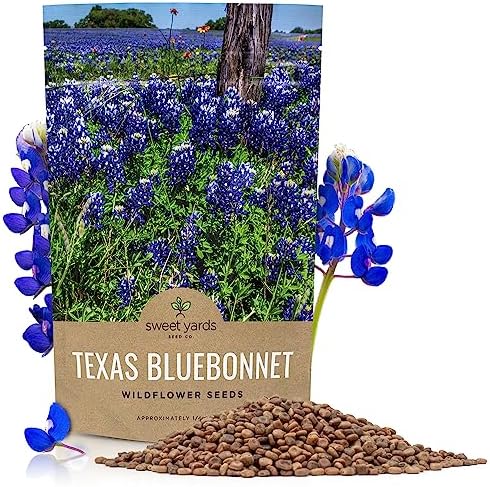 Texas Bluebonnet Wildflower Seeds - Bulk 1/4 Pound Bag - Over 4,000 Native Seeds - Texas State Flower! by SweetYards