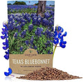Texas Bluebonnet Wildflower Seeds - Bulk 1/4 Pound Bag - Over 4,000 Native Seeds - Texas State Flower! by SweetYards