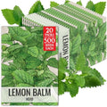 Seed Needs Lemon Balm Seeds to Plant an Herb Garden - 20 Packs by SeedNeeds
