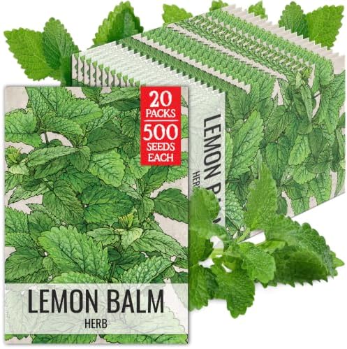 Seed Needs Lemon Balm Seeds to Plant an Herb Garden - 20 Packs by SeedNeeds