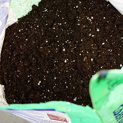Coast of Maine Organic Sprout Island Blend Seed Starter, 8 qt - Image 4