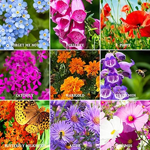 The Old Farmer's Almanac Premium Wildflower Seeds 23 Variety Pollinator Mix - Non-GMO, Open Pollinated - Columbine Cosmos Foxglove Larkspur Poppy Snapdragon Zinnia - Attracts Butterflies Bees Birds - Image 4
