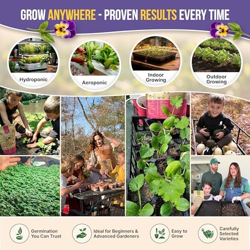 Organo Republic 25 Edible Flower Seeds Variety Pack for Indoor Outdoor Gardening - 8,000+ Non-GMO Heirloom Flower Seeds: Anise, Hyssop, Nasturtium, Pansy, Echinacea, Lavender, Chives & More - Image 4