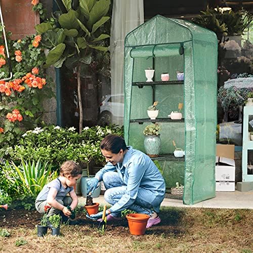 Mini Greenhouse for Indoor Outdoor, Small Plant Greenhouse 4 Tier Rack Stands with PE Cover, Portable Rack Shelves Gardening Green House for Seeds and Flowers, 27"x20"x62" - Image 4
