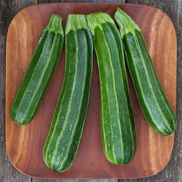Seeds Cocozelle Zucchini - Heirloom Vegetable - GMO Free - Image 3