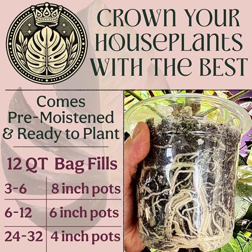 Craft Houseplant Potting Mix, Organic Indoor Potting Soil for House Plants, Chunky Well Draining Plant Soil for Pothos, Snake Plant & Tropical Plants, Peat Free, 12 Quart - Image 7