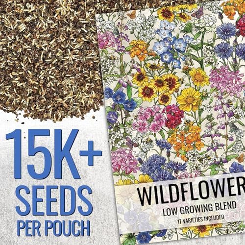 Seed Needs Wildflower Seeds Low Growing 1 Ounce Heirloom Bulk Pack - Image 2