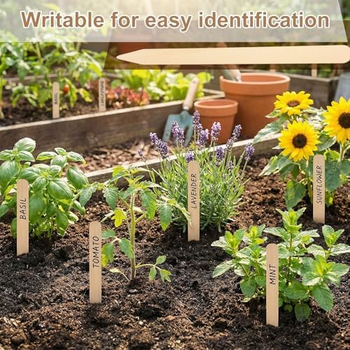 Weysat 100 Pcs 12" Wood Plant Labels for Field or Containers Plant Tags Wood Garden Labels for Seedling Stakes Markers Nursery Seed Tags with Smooth Surface for Pot Herbs Flowers Vegetables (Natural) - Image 5