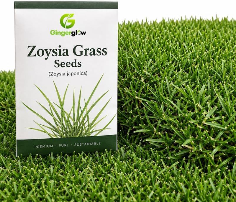 60,000 Zoysia Grass Seed and Mulch, Grass Seeds for Planting, Green Groundcover for Backyard Spaces by GINGERGLOW
