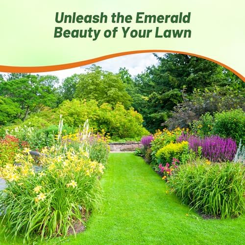 Outsidepride Legacy Fine Fescue Grass Seed Mix - 25 lbs. Perennial, Pure Raw Seed w/ 0.00% Other Crop & Weed Seed - Image 6