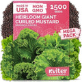 1500 Southern Giant Curly Mustard Heirloom Vegetable Seeds, Brassica juncea by KVITER