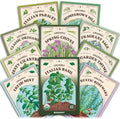 Seedboy Organic Non-GMO Herb Seeds for Planting (10 Herb Variety Pack) by Seedboy