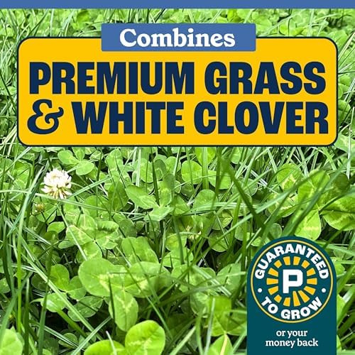 Pennington Clover Grass Seed Mix for Lawn 7lb - Image 3
