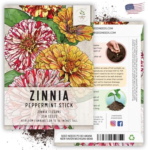 Seed Needs Peppermint Stick Zinnia Seeds to Plant Cut Flowers - 5 Packs - Image 6
